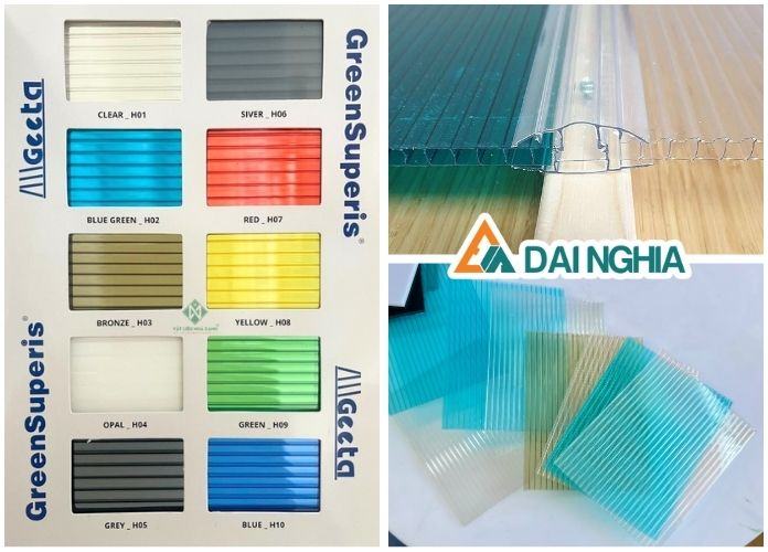 tam lay sang poly rong loi ich va ung dung 15